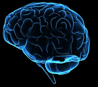 imagem tamanhopequeno