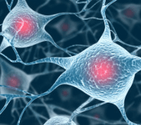 imagem tamanhopequeno